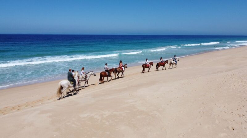 Melides: Horseback Riding on Melides Beach - Introduction