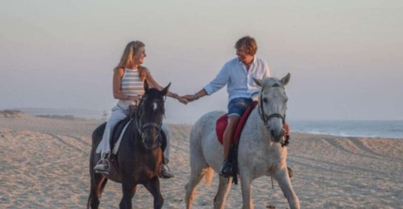 Melides: Horseback Riding on Melides Beach - The Experience: What Really Sets It Apart