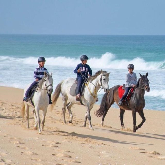 Melides: Horseback Riding on Melides Beach - Why This Tour is a Great Fit