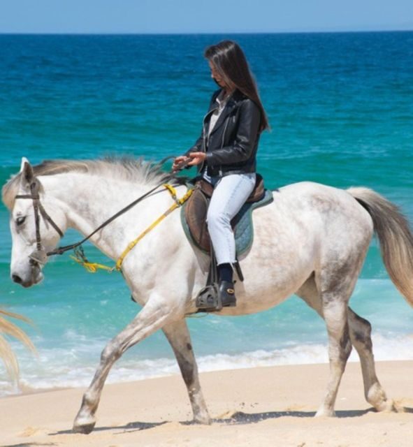 Melides: Horseback Riding on Melides Beach - Final Thoughts