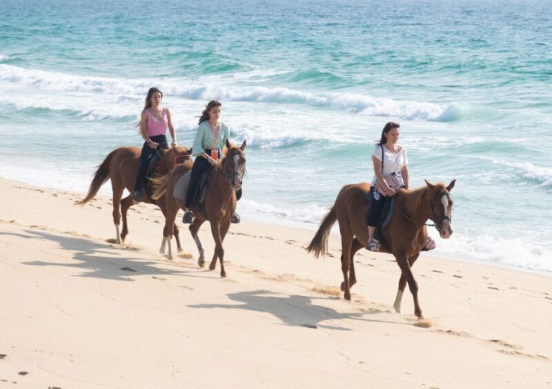 Melides: Horseback Riding on Melides Beach - FAQ