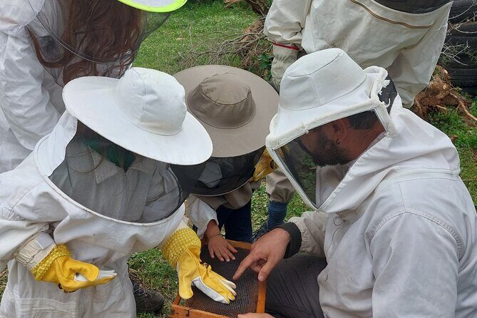 Melissini Beekeeping Experience - Who Is This Tour Best For?