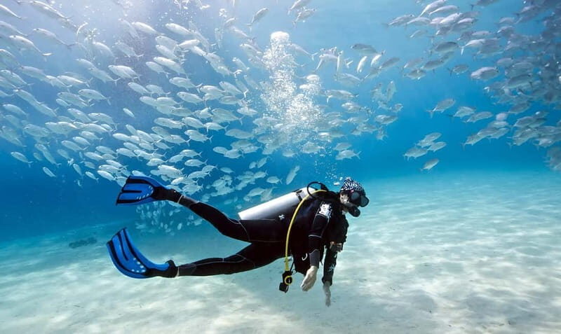 Mellieha: Introductory Diving Session in the Open Sea - Why Choose This Experience?