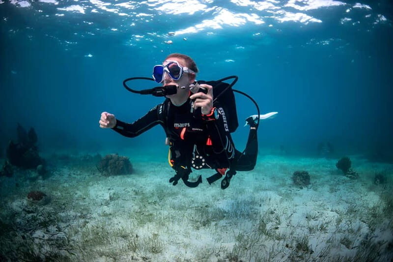 Mellieha: Introductory Diving Session in the Open Sea - The Experience Environment