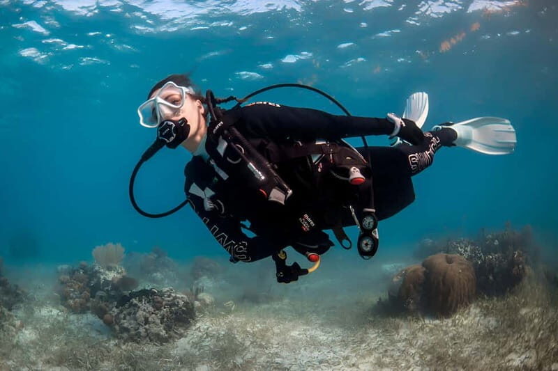 Mellieha: Introductory Diving Session in the Open Sea - Who Will Love This?