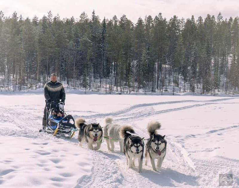 Meltosjärvi: Self Driving Husky Tour - Lake Trail Experience - Starting Point: Matara Creek Kennel and Melodic Scenery