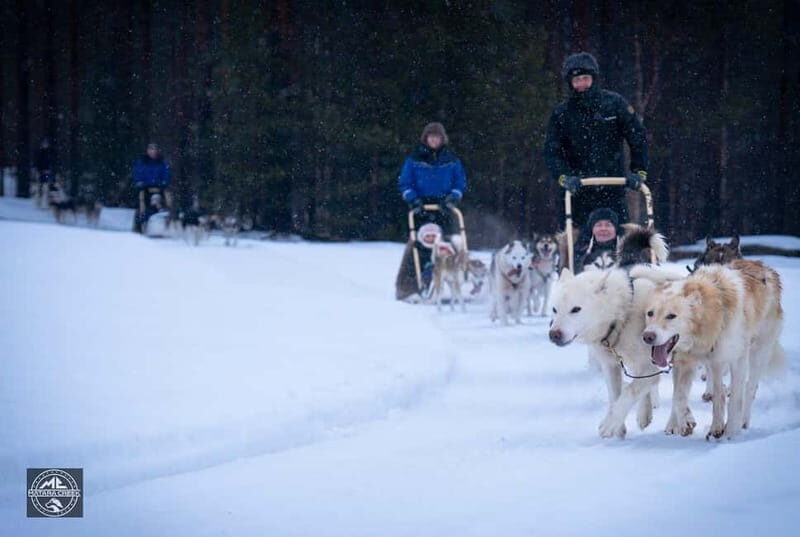 Meltosjärvi: Self Driving Husky Tour - Lake Trail Experience - Overall Value and Impression