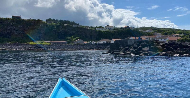 Memória Baleeira - Unforgetable Ride in the waters of Pico - Why This Tour Is Worth Considering