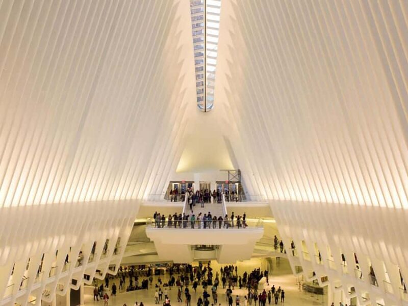 Memorials & Markets: NYCs Liberty, Finance & History Tour - Additional Insights and Guest Perspectives