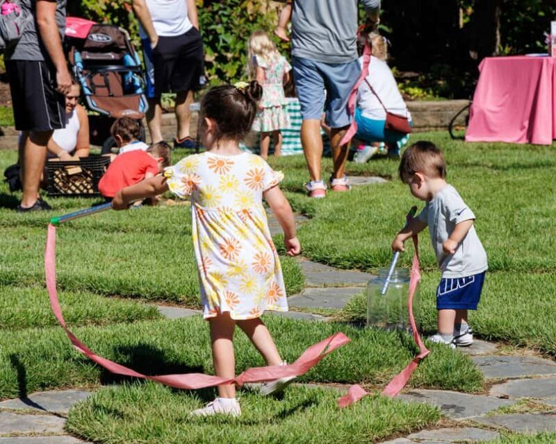 Memphis Botanic Garden Entry Ticket - Exploring Memphis Botanic Garden: A Practical Guide for Garden Enthusiasts and Curious Travelers