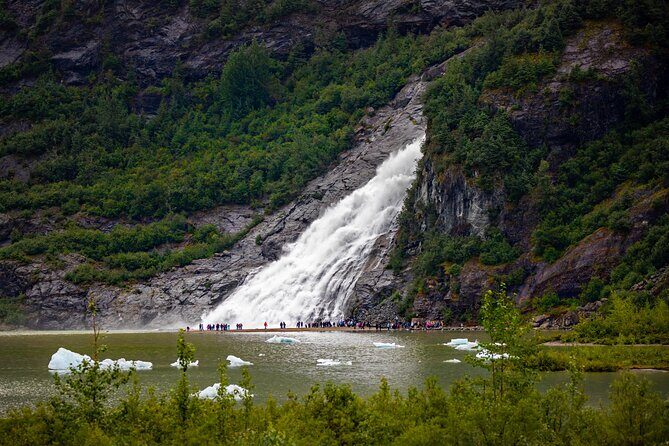Mendenhall Glacier Express Tour - How the Tour Works