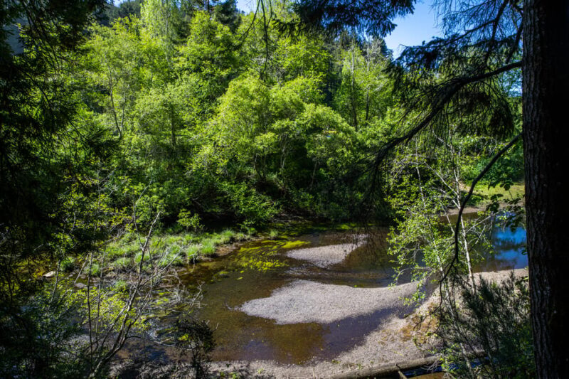Mendocino County: Railbiking Tour Along the Noyo River - FAQ