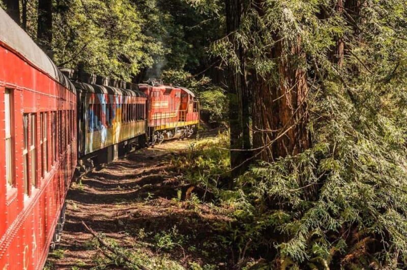 Mendocino County: Skunk Train Pudding Creek Train Ride - An In-Depth Look at the Skunk Train Experience