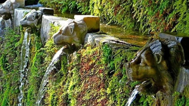 Menites Springs & Cave Foros - Half Day Tour - Final Thoughts