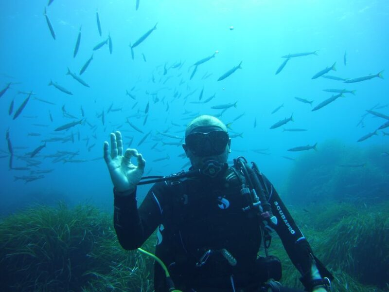 Menorca: Baptism Scuba Diving in Marine Reserve - The Dive Itinerary: An Authentic Marine Encounter