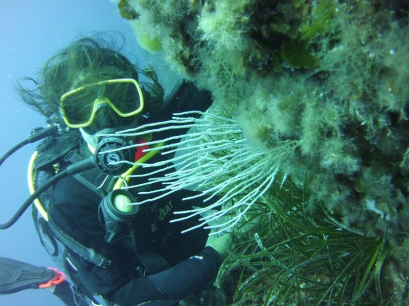 Menorca: Baptism Scuba Diving in Marine Reserve - The Practicalities: What’s Included and What’s Not