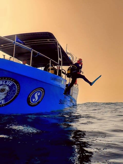 Menorca: Baptism Scuba Diving in Marine Reserve - Who Will Love This Experience?