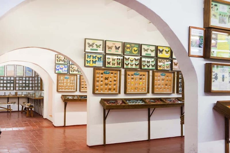 Menorca: Binissues & Natural Sciences Museum Ticket - Discover Menorca’s Past and Nature with the Binissues & Natural Sciences Museum Ticket