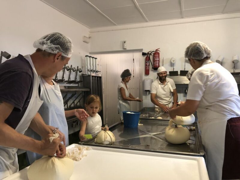Menorca: Cheesemaking and Farm-Fresh Product Tasting - Who Will Love This Tour?