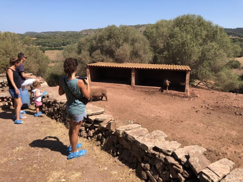 Menorca: Cheesemaking and Farm-Fresh Product Tasting - In Summary: Is It Worth It?