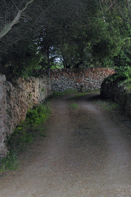 Menorca: E-Bike Tour From Punta Prima to Binibeca - What to Expect on the Menorca E-Bike Tour