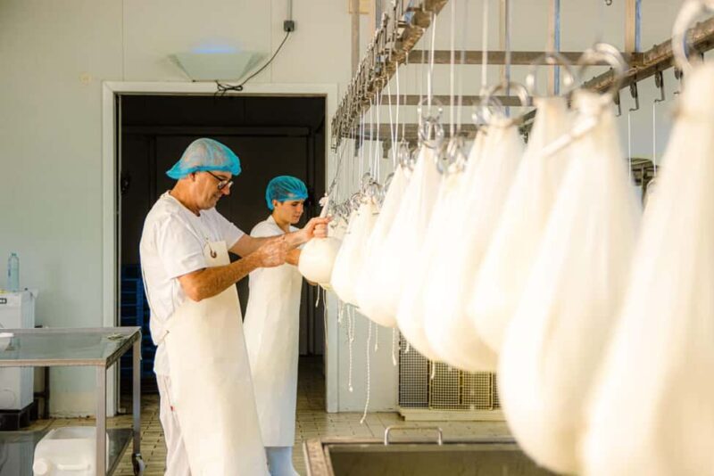 Menorca: Guided visit to the Subaida cheese factory, - Frequently Asked Questions