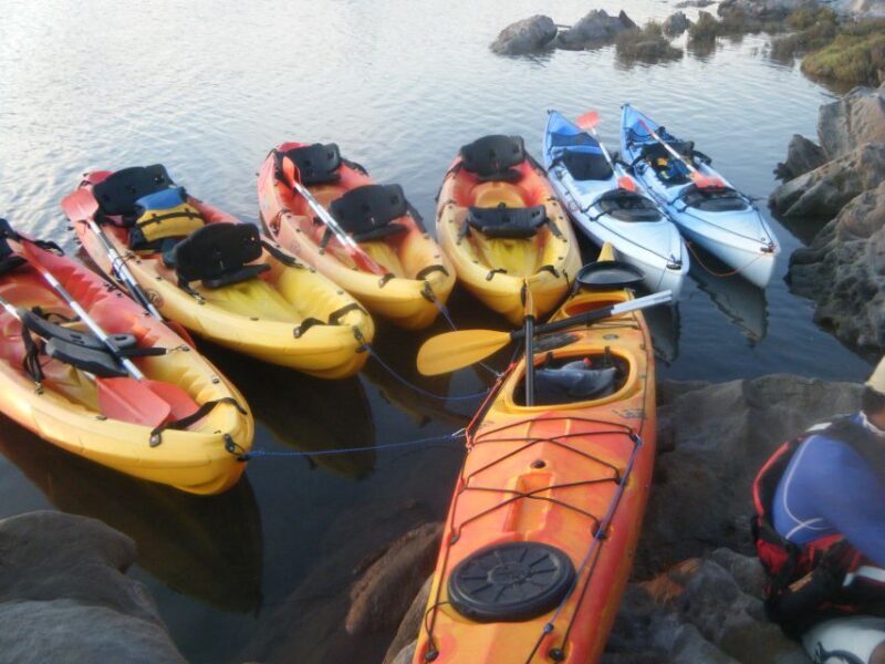 Menorca: Half-Day Kayak Excursion in Fornells - Value and Practicality