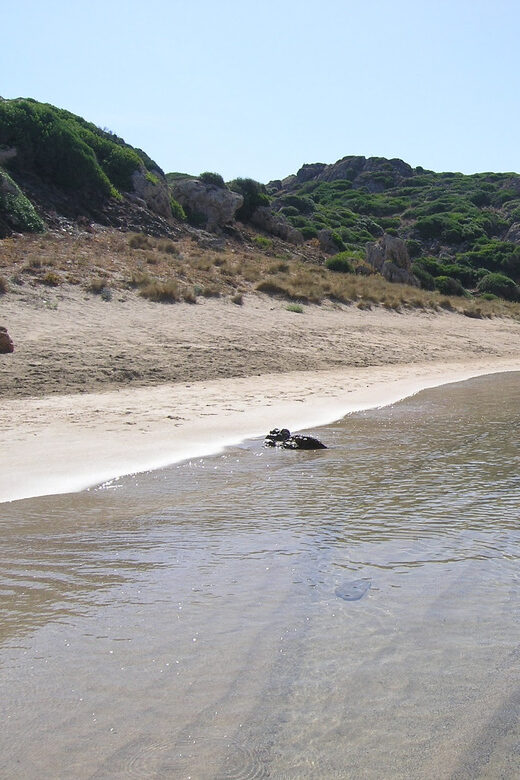 Menorca: Taxi-Boat from Es Grau to Colom Island - Authentic Experiences from Reviews