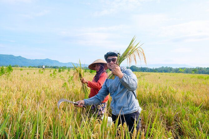 Menoreh Village Cycling - Nanggulan - Visiting Rice Fields and Participating in Local Life