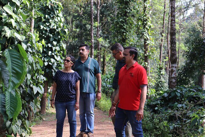 Mercara Gold Coorg Coffee and Spice Estate Tour - Authentic Insights from Reviewers