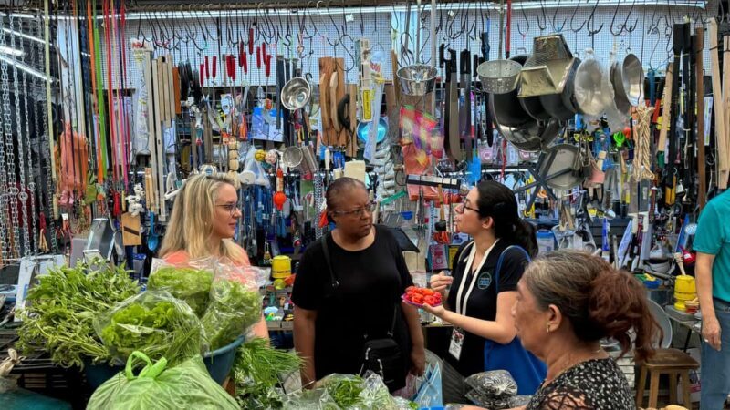 Mérida Cooking Class, taste of Yucatan - Final Thoughts: Who Will Love This Experience?