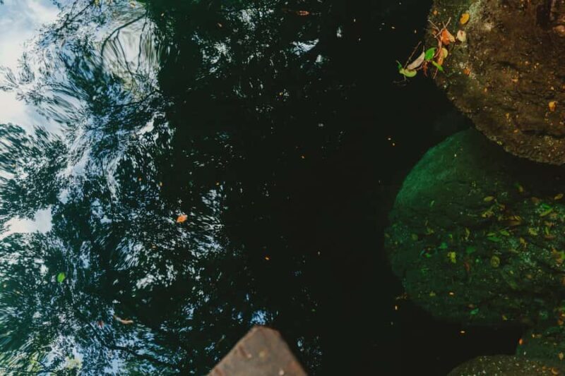 Merida: Explore With The One You Love, Day trip to Cenotes. - Key Points