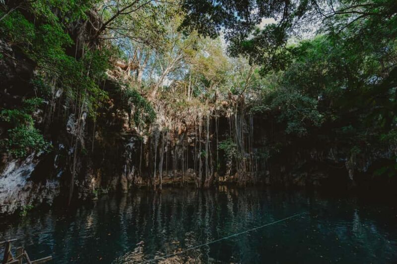 Merida: Explore With The One You Love, Day trip to Cenotes. - Analyzing the Value