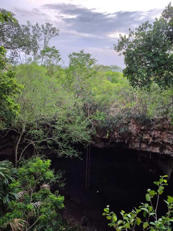 Merida: Hiking, Caving and Bat Watching Tour in the Yucatan - An In-Depth Look at the Tour Experience