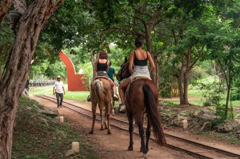 Mérida: Jungle & Cenotes Tour with Horseriding & Lunch - The Meal: A Taste of Yucatán