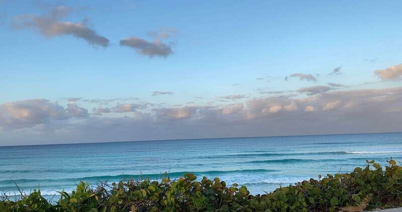 Mérida: Port of Progreso & Xcambo Mayan Ruins Tour - Authenticity and Visitor Feedback