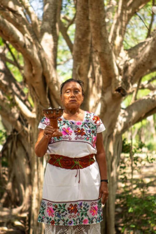 Mérida: Temazcal, Cenote, and Massage Experience - An Authentic Look at Yucatán Wellness