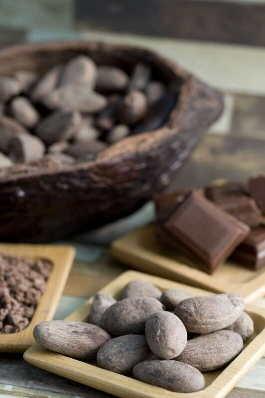 Mérida: Uxmal and Chocolate Museum Choco-Story - A Deep Dive into the Tour Experience