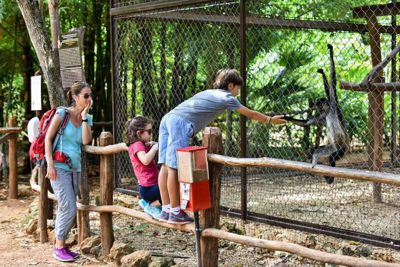 Mérida: Uxmal and Chocolate Museum Choco-Story - Who Will Love This Tour?