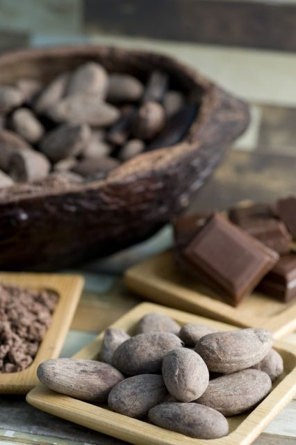 Mérida: Uxmal and Chocolate Museum Choco-Story - Final Thoughts: Is It Worth It?