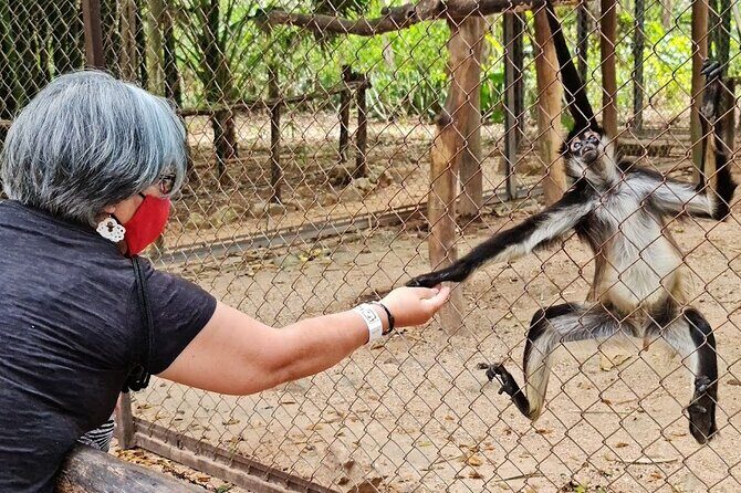 Merida : Uxmal, Chocolate Museum and Cenote with lunch and pick up - Practical Details and Value