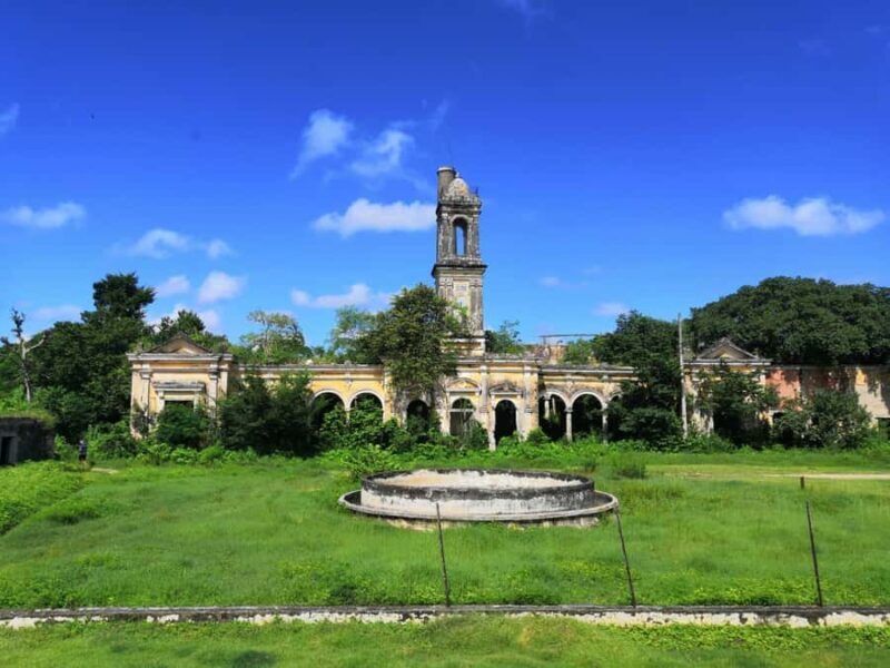 Mérida: Uxmal Tour with Sisal Plantation and Cenote Swim - Key Points