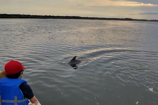 Mermaid Pirate Tours - The Price and Value Consideration