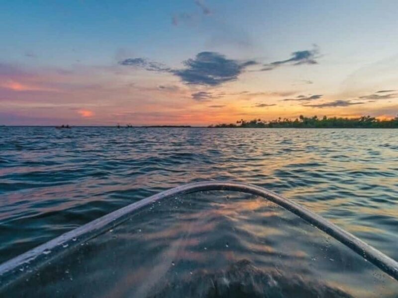 Merritt Island: Clear Kayak Wildlife Tour in National Refuge - Key Points