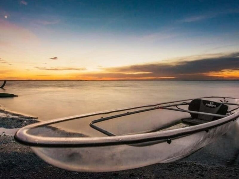 Merritt Island: Clear Kayak Wildlife Tour in National Refuge - Exploring the Merritt Island Wildlife Tour