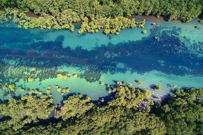 Merritts Mill Pond Eco Adventure - Exploring Merritts Mill Pond: Why It’s Special