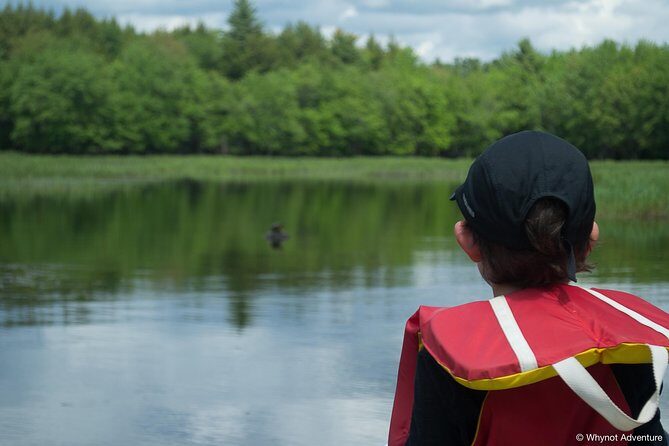 Mersey River Quickie Adventure - 2 Hours - An In-Depth Look at the Mersey River Quickie Adventure