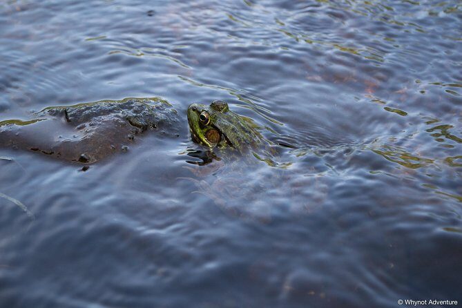 Mersey River Quickie Adventure - 2 Hours - Frequently Asked Questions