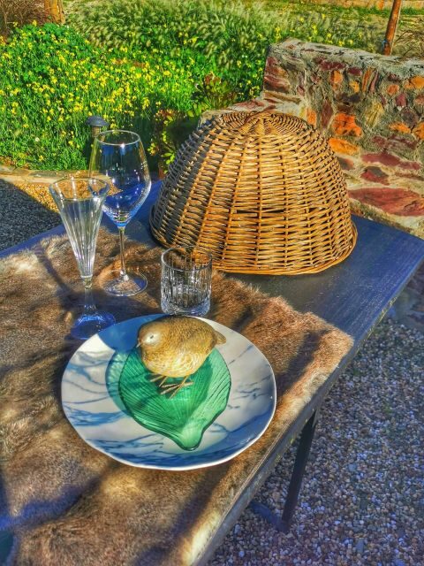 Mértola's Stunning Countryside Picnic - An In-Depth Look at the Mértola Countryside Picnic