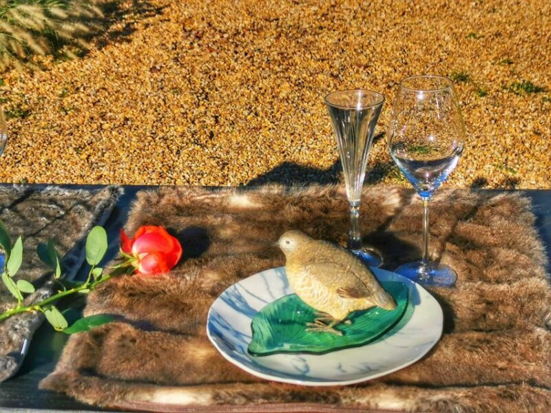 Mértola's Stunning Countryside Picnic - Final Thoughts: Is This Experience Worth It?